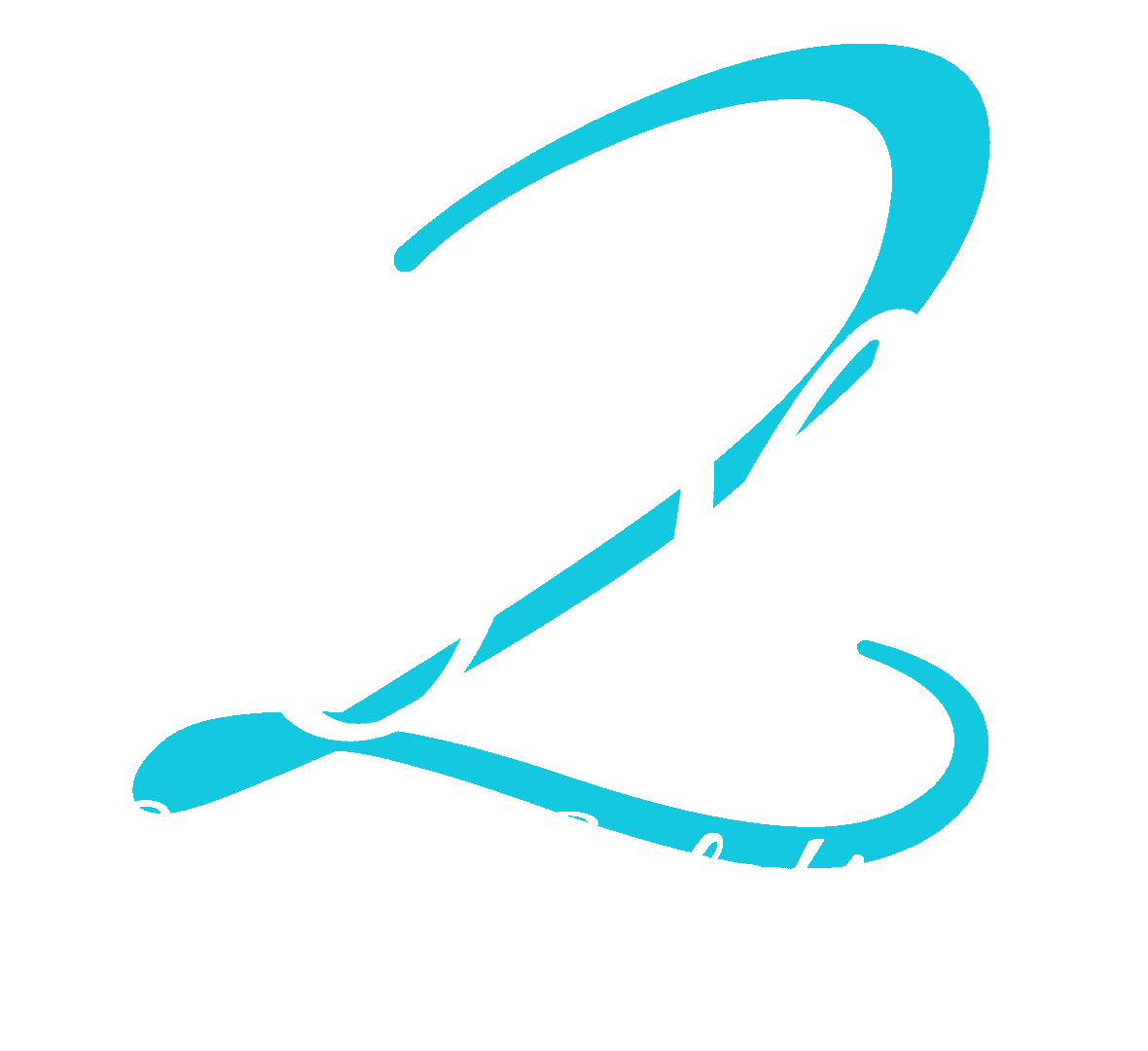 2 On Web Solutions logo